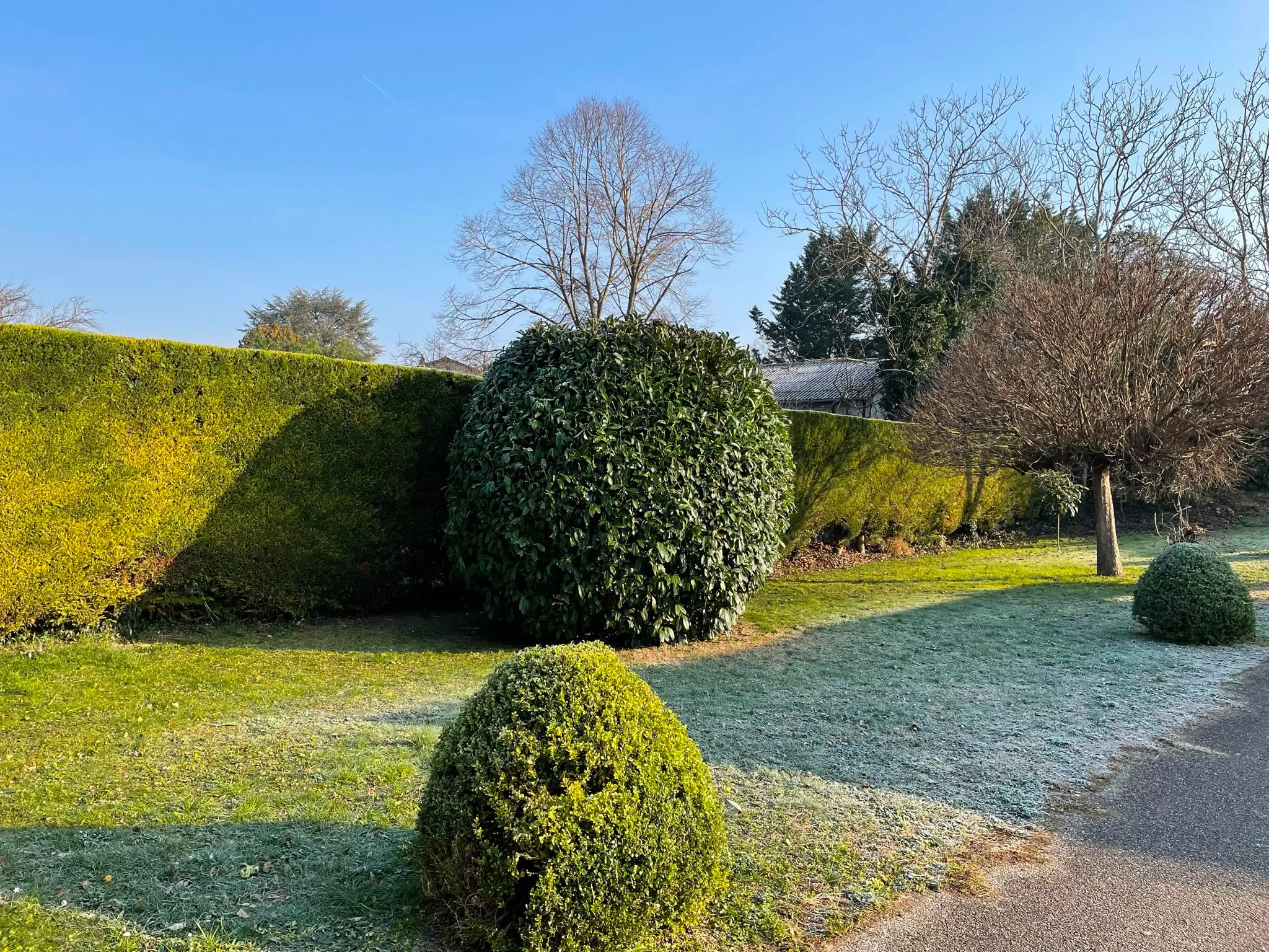 Haies et arbustes d’ornement entretenus par Jardélie dans un jardin près de Lyon