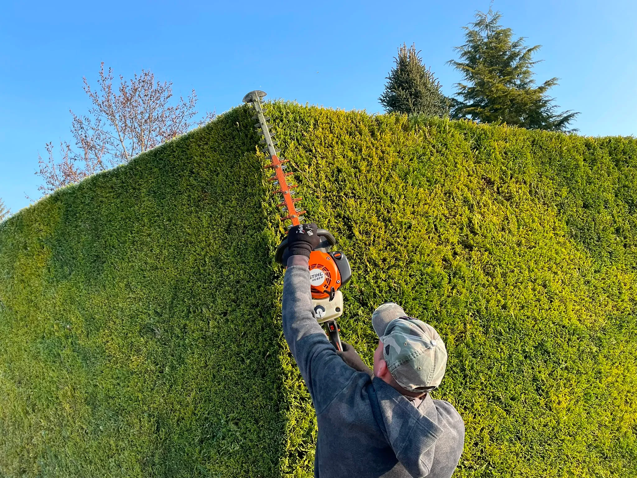 Jardinier Jardélie réalisant la taille d’une grande haie avec un taille-haie professionnel